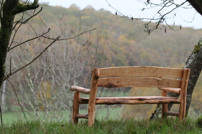 banc en châtaignier dans une forêt de Dordogne